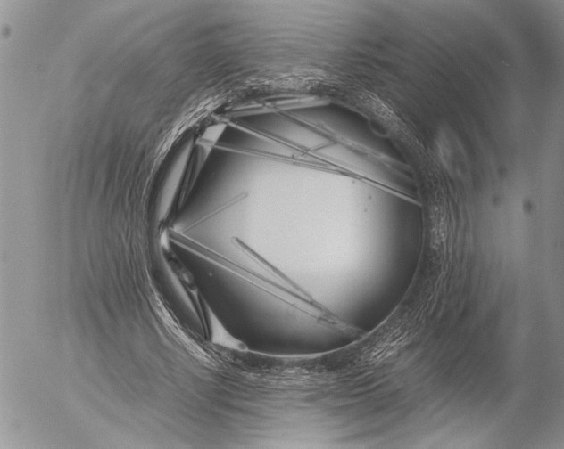 X0000053010634200507291709