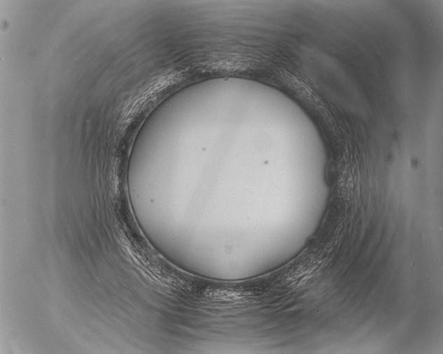 X0000053010635200507291709