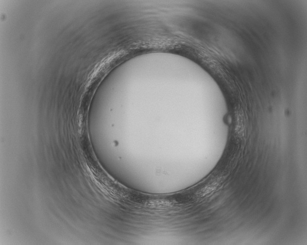 X0000053010636200507291709