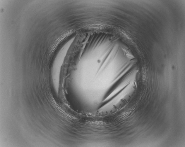 X0000053010637200507291709