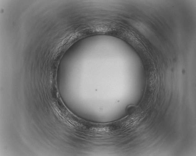 X0000053010639200507291709