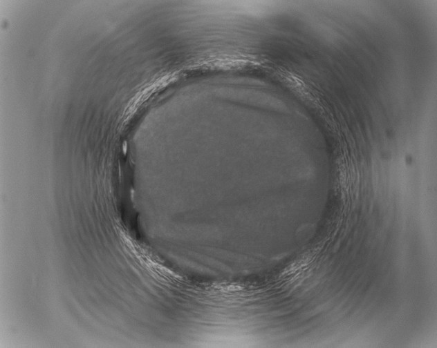 X0000053010640200507291709