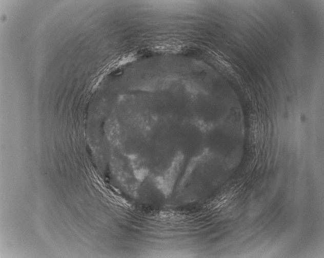 X0000053010641200507291709