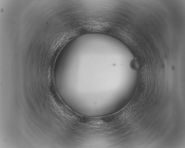 X0000053010642200507291709