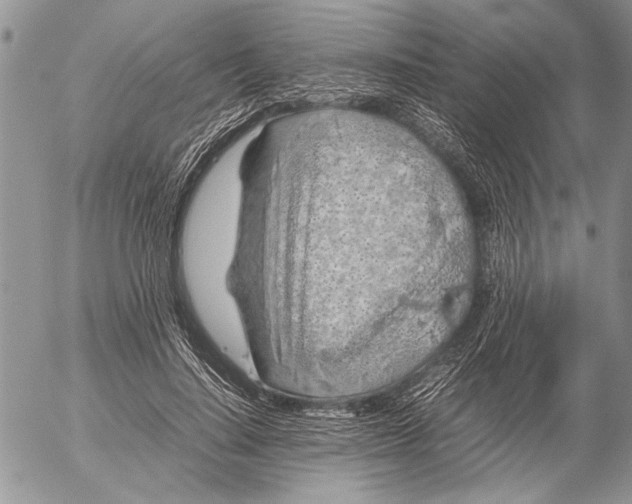 X0000053010644200507291709