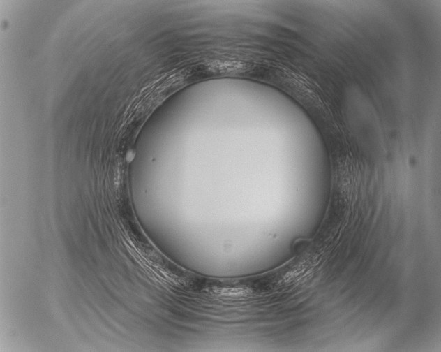 X0000053010645200507291709