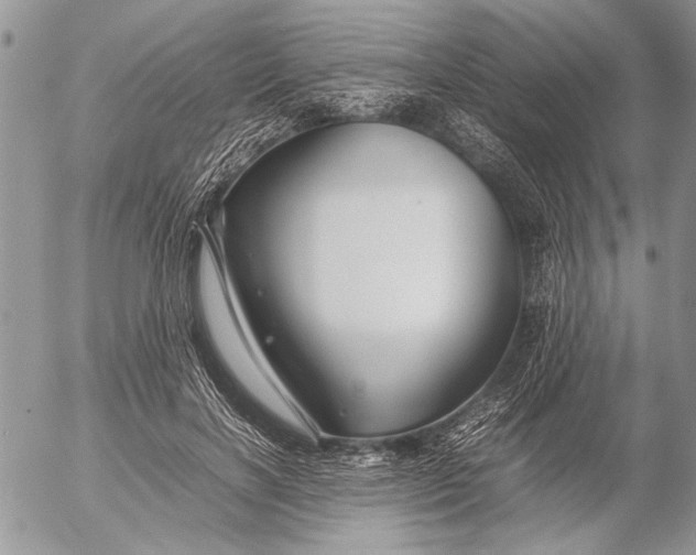 X0000053010646200507291709