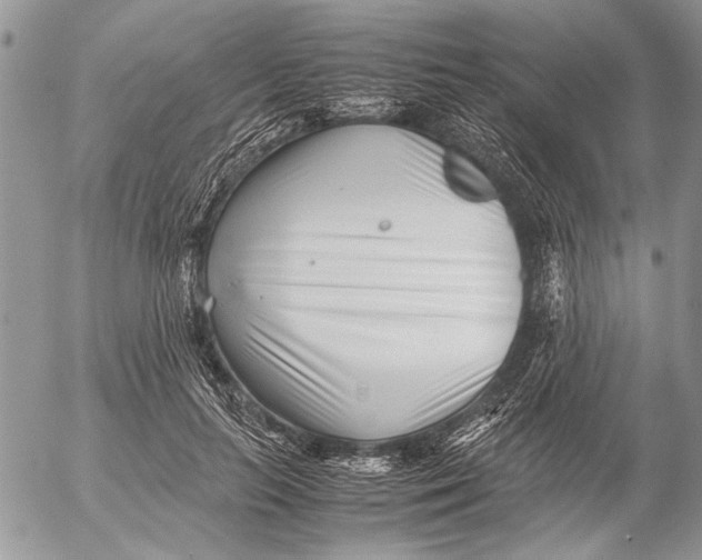 X0000053010647200507291709