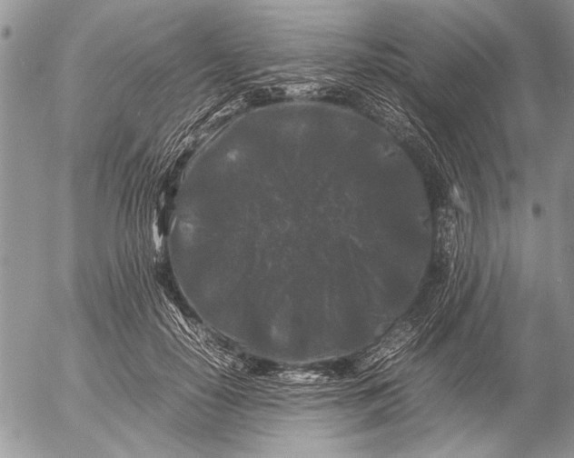 X0000053010650200507291709