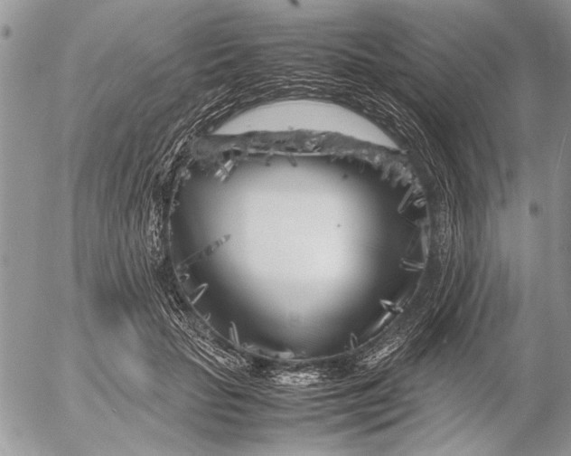 X0000053010653200507291709