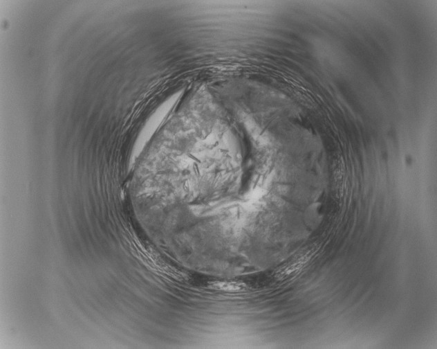 X0000053010654200507291709