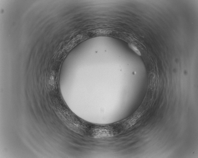 X0000053010655200507291709