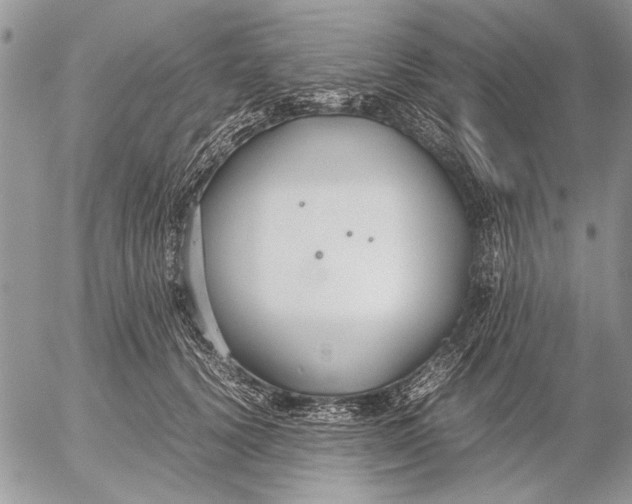 X0000053010656200507291709