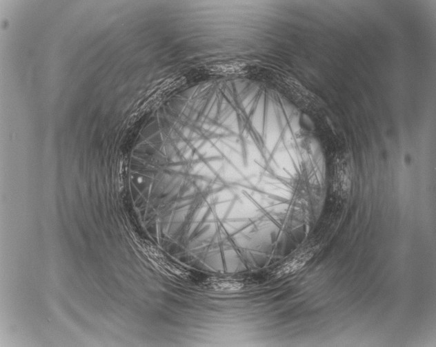 X0000053010658200507291709