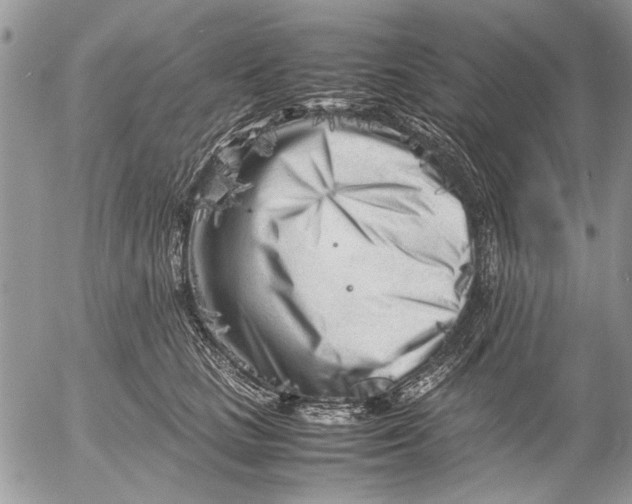 X0000053010661200507291709