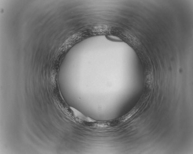 X0000053010662200507291709