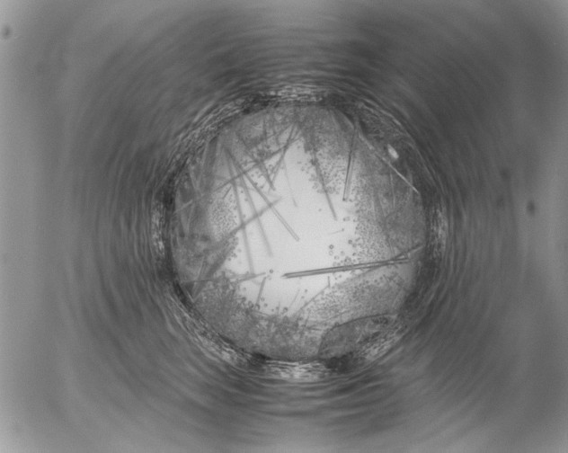 X0000053010663200507291709