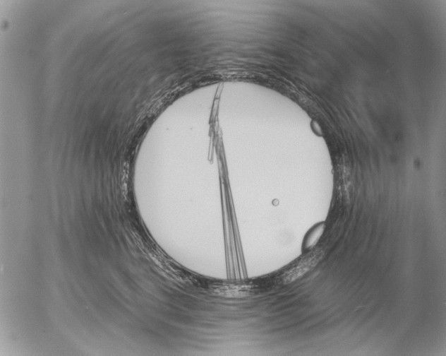 X0000053010664200507291709