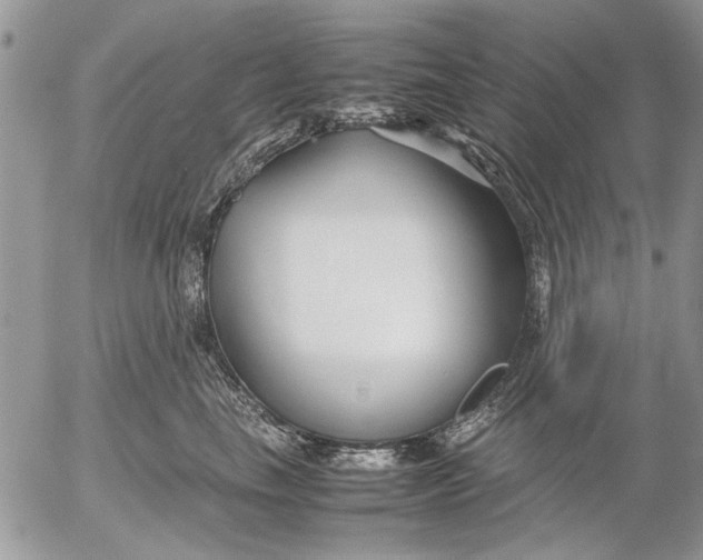 X0000053010665200507291709