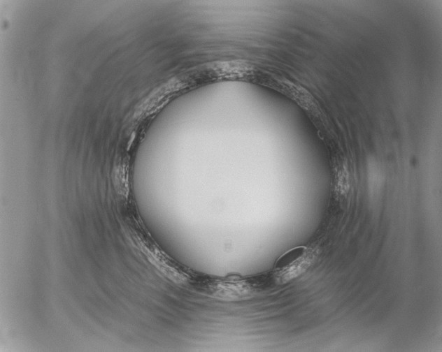 X0000053010666200507291709