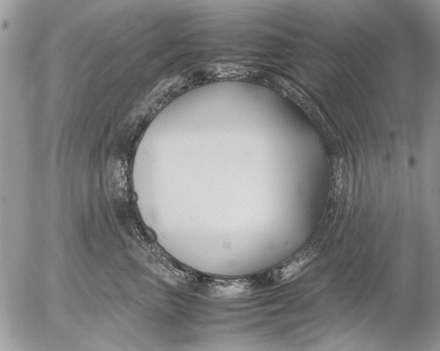 X0000053010667200507291709