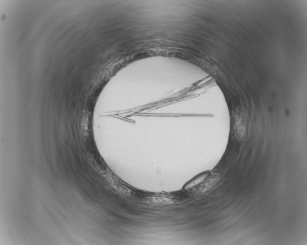 X0000053010668200507291709