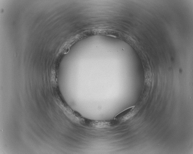 X0000053010670200507291709