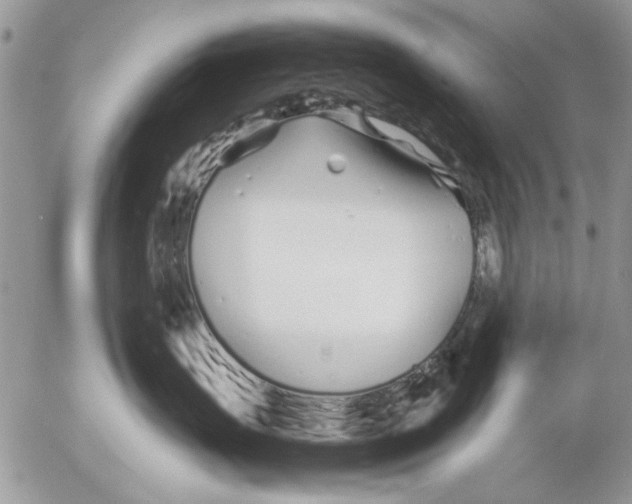 X0000053010671200507291709