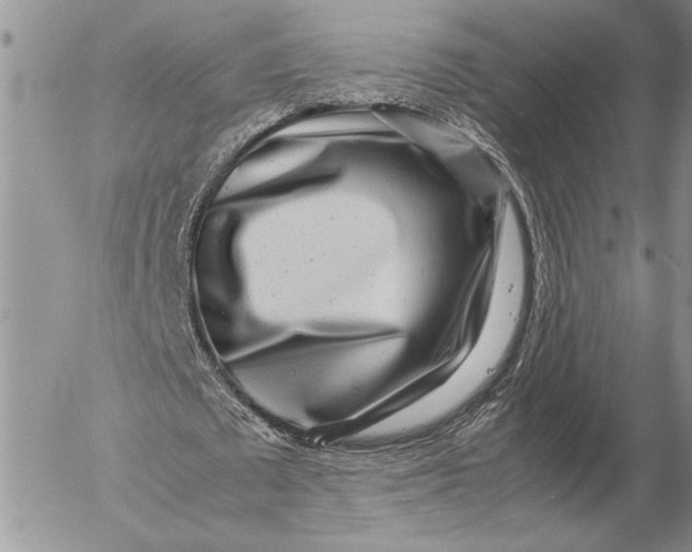 X0000053010673200507291708