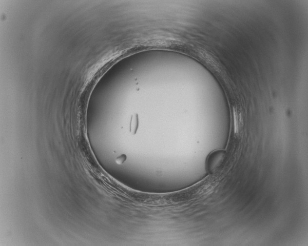 X0000053010675200507291708