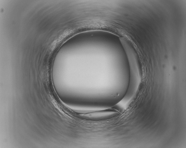 X0000053010677200507291708