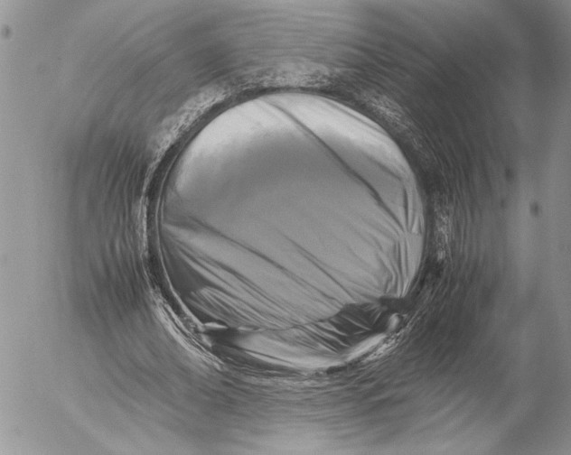 X0000053010678200507291708