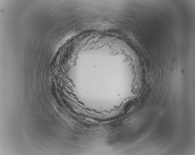 X0000053010679200507291708