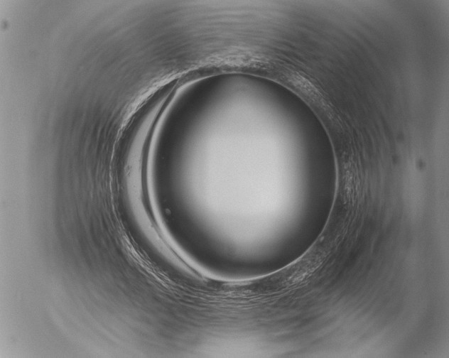 X0000053010680200507291708