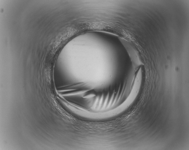 X0000053010681200507291708