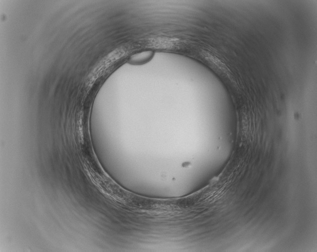 X0000053010682200507291708