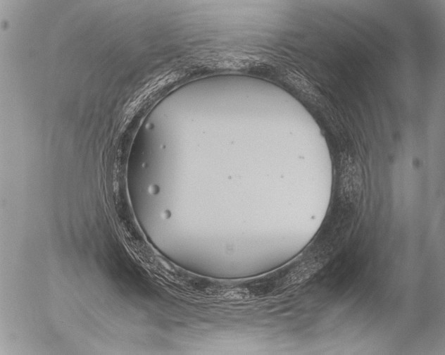 X0000053010683200507291708