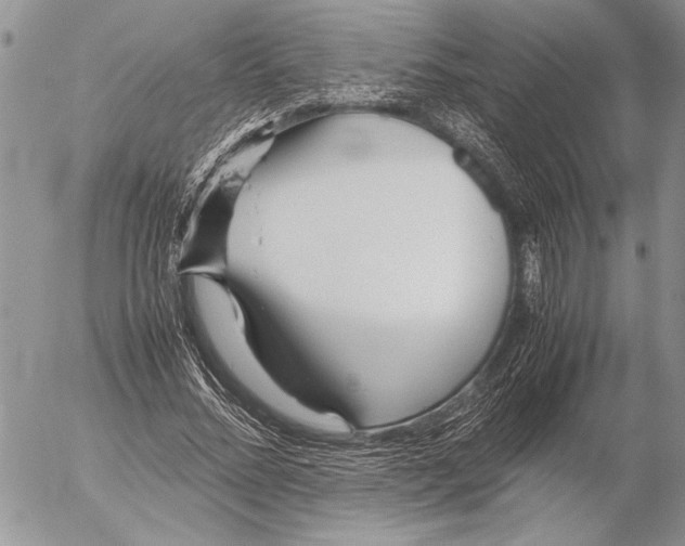 X0000053010684200507291708