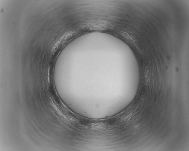 X0000053010686200507291708