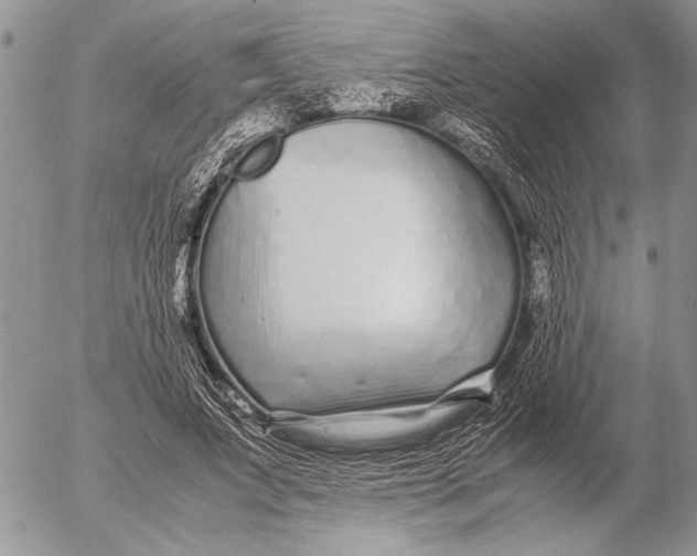 X0000053010687200507291708