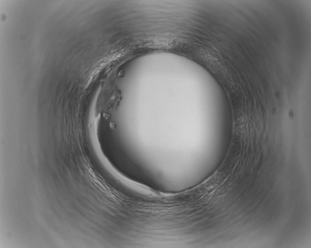 X0000053010688200507291708