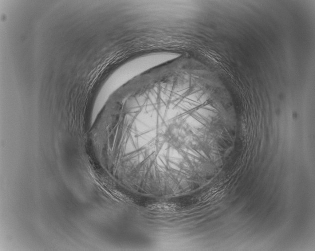 X0000053010691200507291708