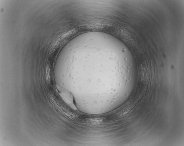 X0000053010692200507291708