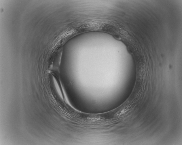 X0000053010693200507291708