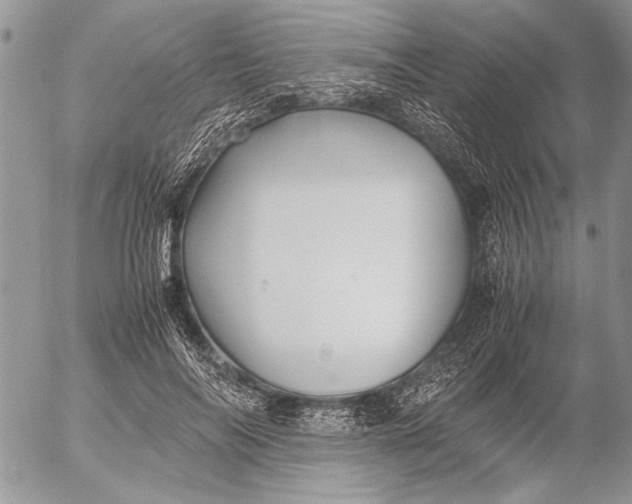 X0000053010694200507291708