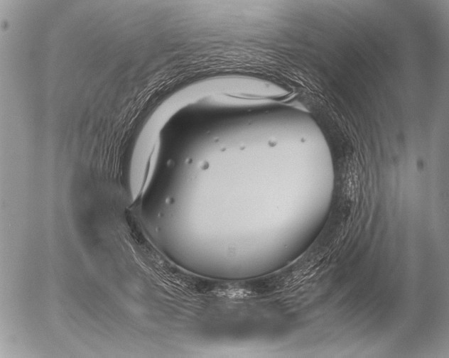 X0000053010695200507291708