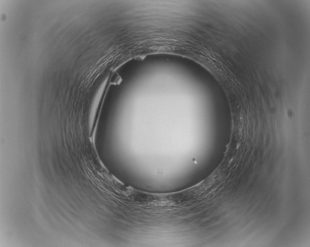 X0000053010696200507291708