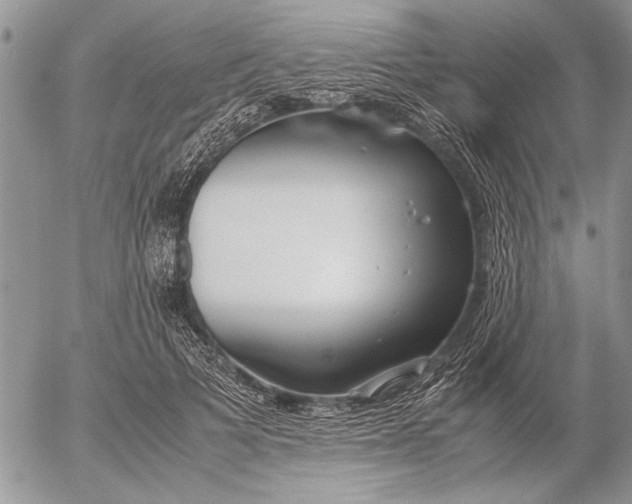 X0000053010697200507291708