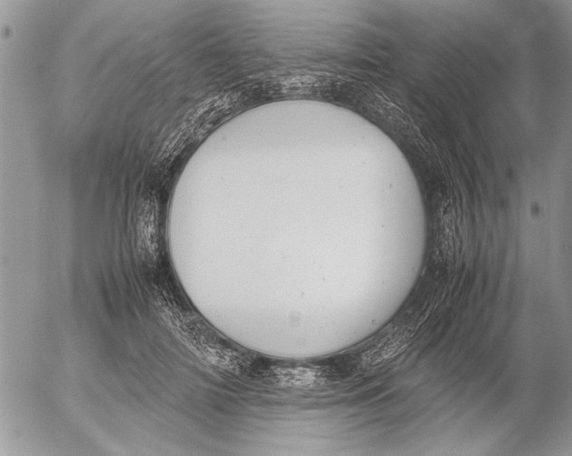 X0000053010698200507291708