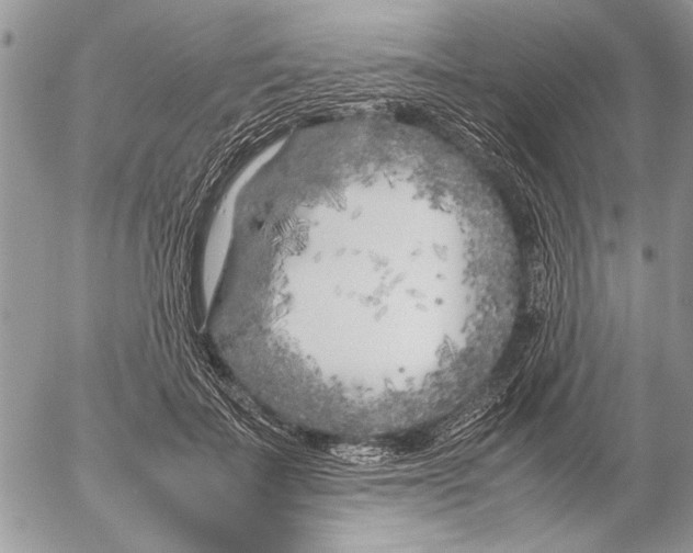 X0000053010699200507291708